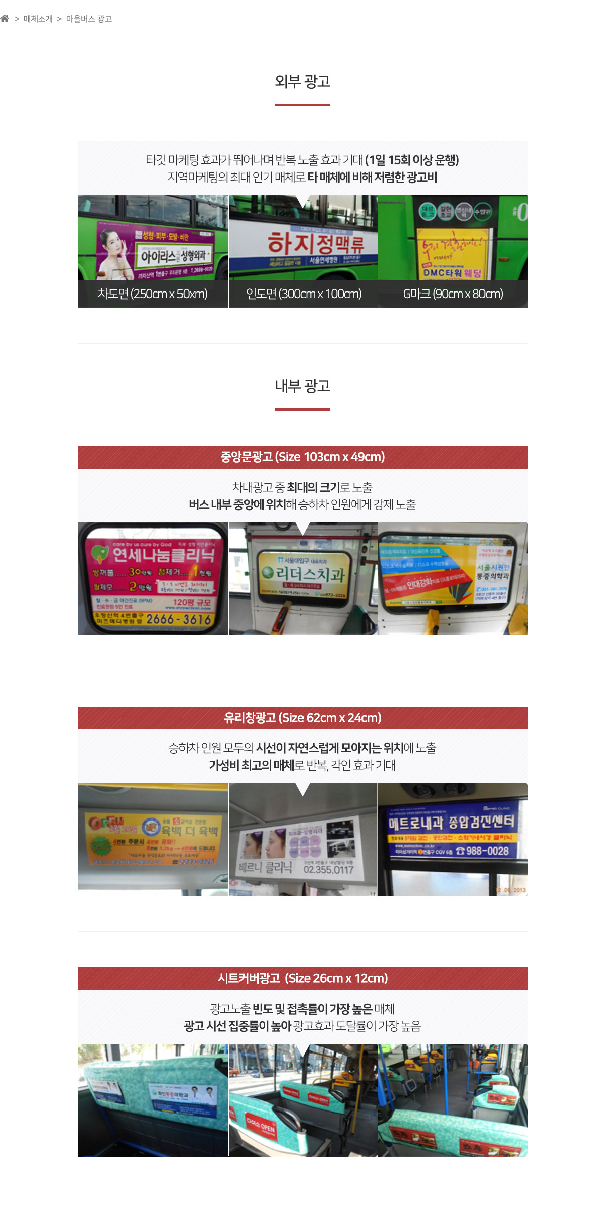 서브페이지 컨텐츠영역
